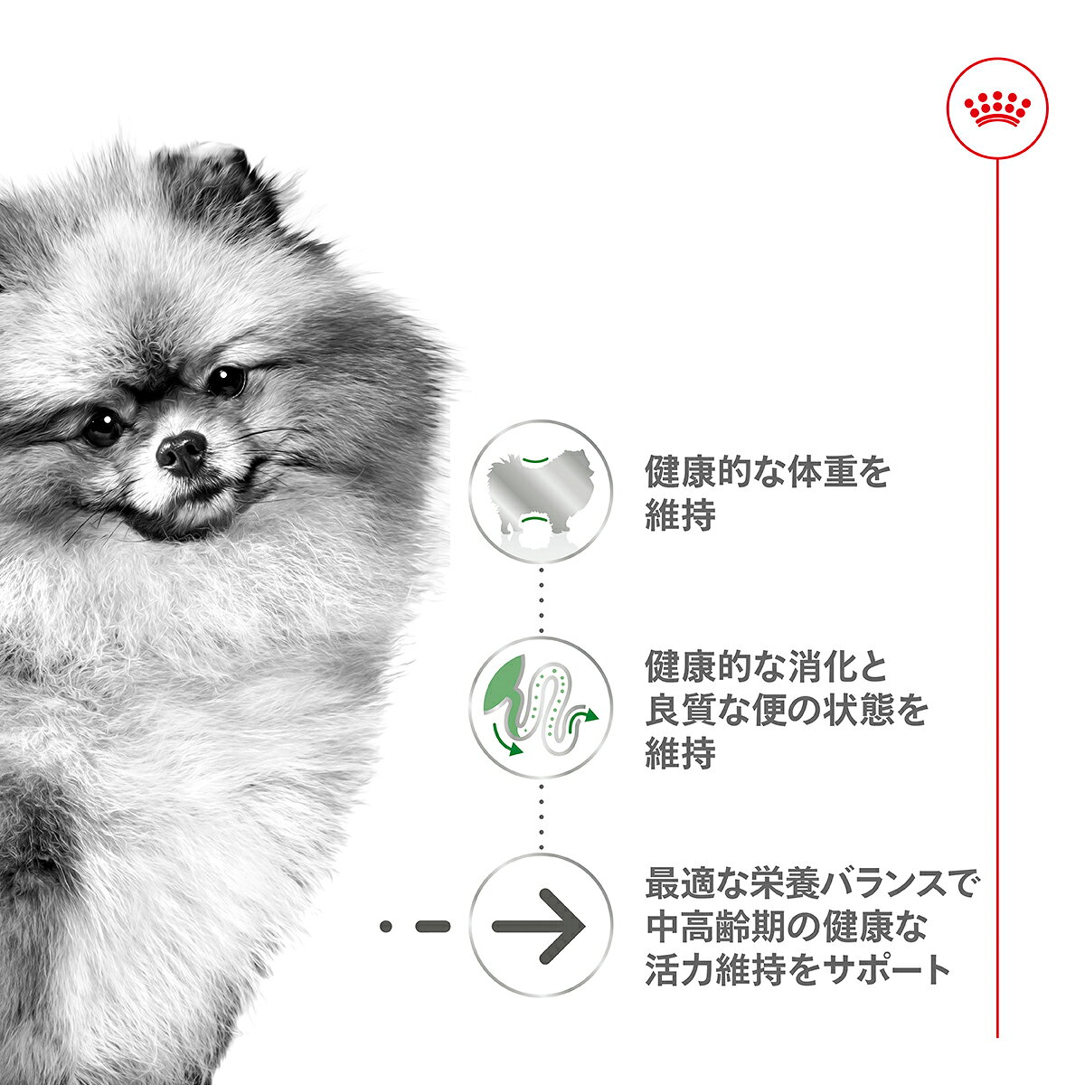 【1等最大10万ポイント当たる!20日から!】...の紹介画像2