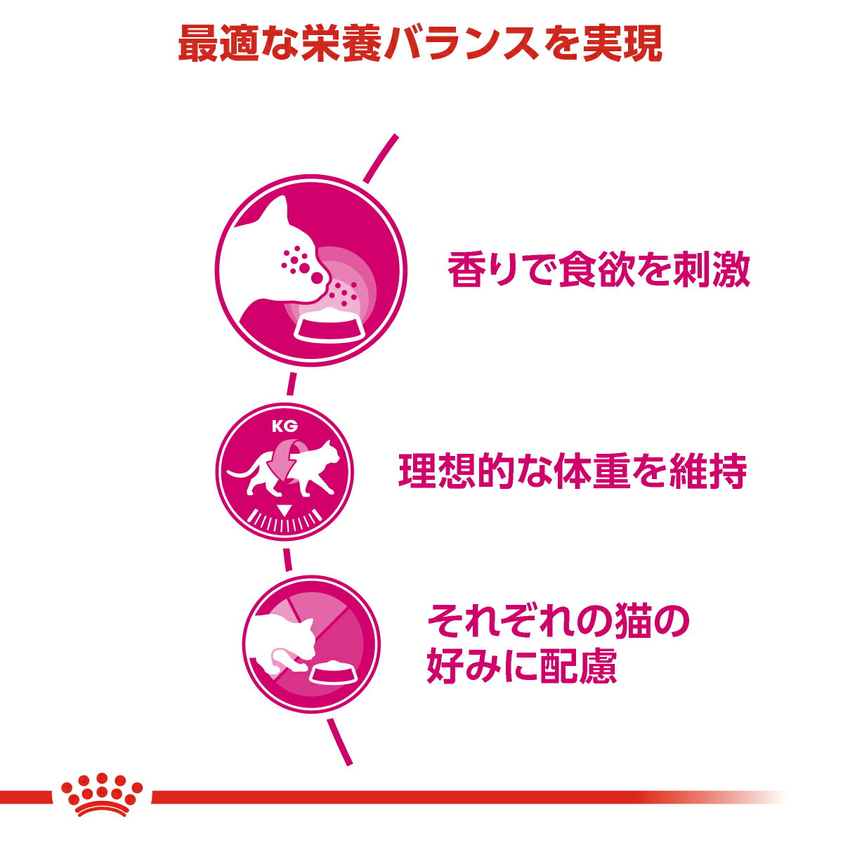 【最大2000円OFFクーポン！＆店内ポイント最大56倍！本日限定！】ロイヤルカナン ...