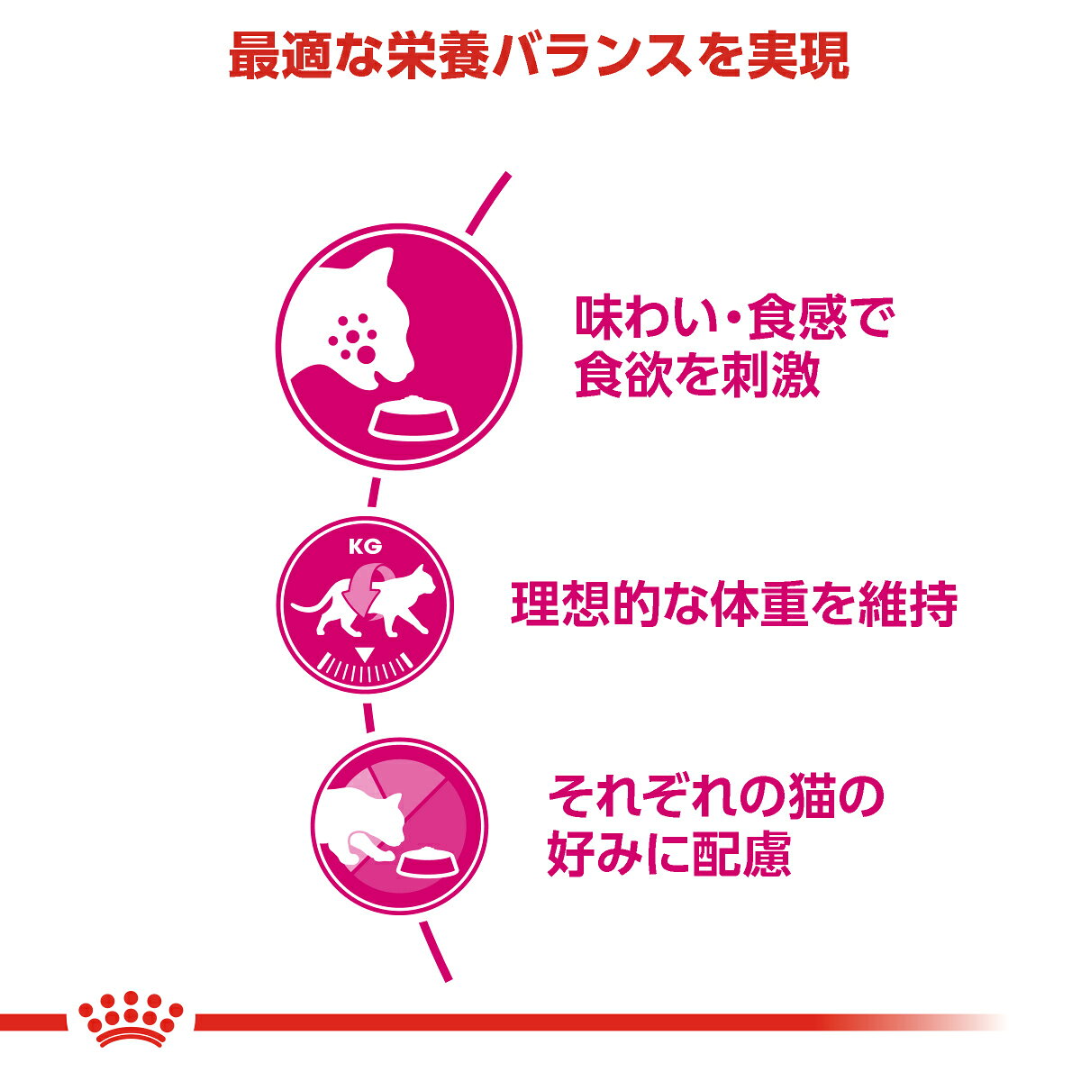 サンプル画像3