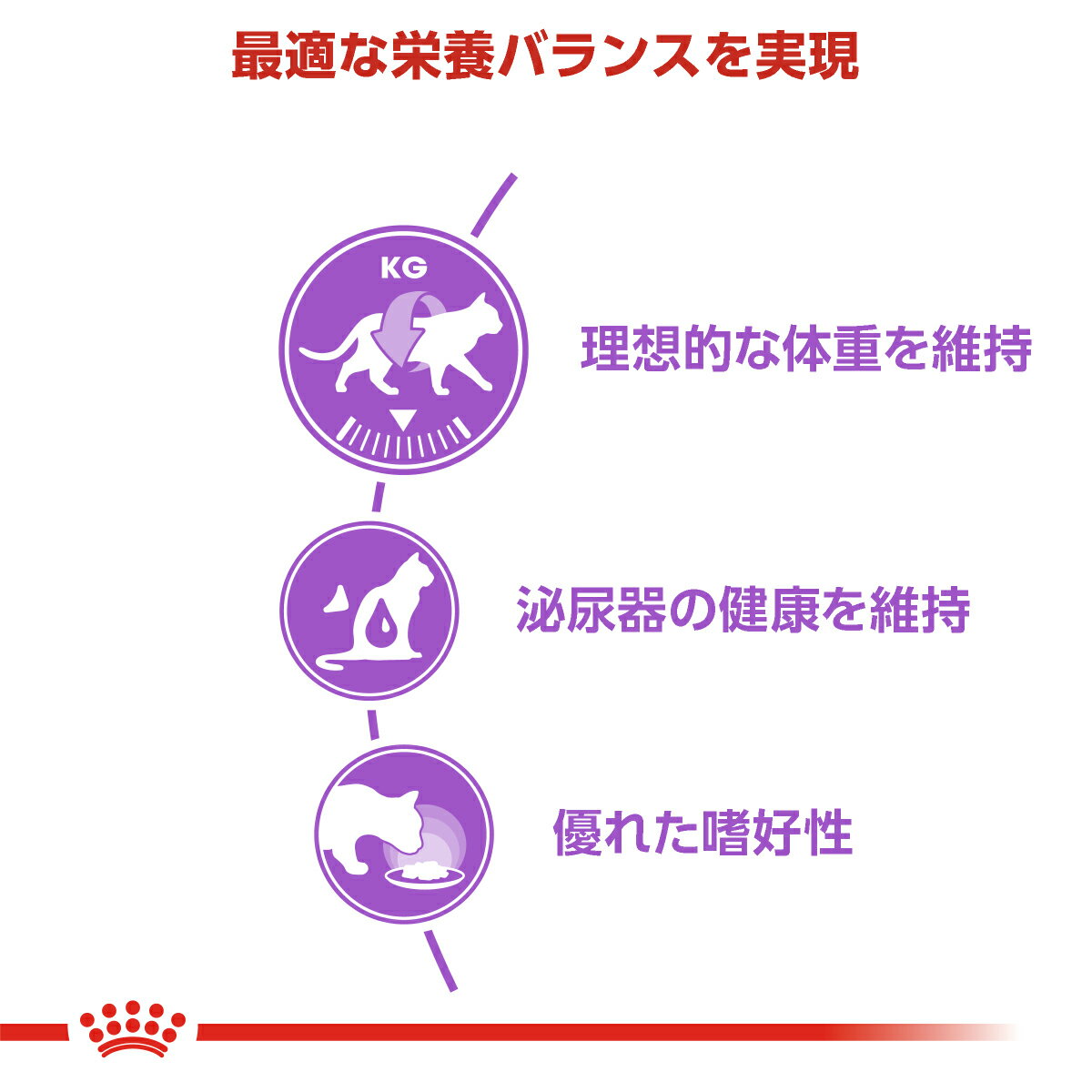 【店内ポイント最大42倍！本日限定！】ロイヤルカナン 猫 キャットフード フィーラ...