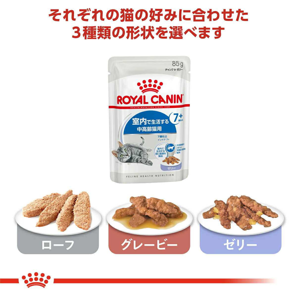 【店内ポイント最大42倍！5月18日！】ロイヤルカナン 猫 キャットフード フィーラ...