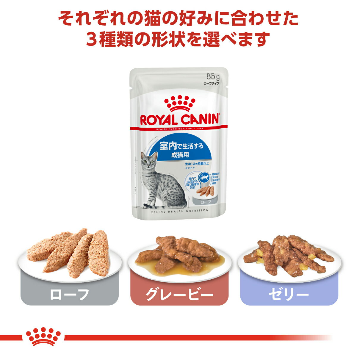 【店内ポイント最大42倍！5月18日！】ロイヤルカナン 猫 キャットフード フィーラ...