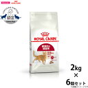 【店内ポイント最大40倍!本日限定!】ロイヤルカナン 猫 キャットフード フィット 2kg×6個 正規品 猫用品/ねこグッズ/ペットグッズ/ペット用品