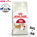 【店内ポイント最大40倍!本日限定!】ロイヤルカナン 猫 キャットフード フィット 4kg×4個 正規品 猫用品/ねこグッズ/ペットグッズ/ペット用品