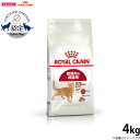 【店内ポイント最大43倍！本日限定！】ロイヤルカナン 猫 キャットフード フィット 4kg 正規品 猫用品/ねこグッズ/ペットグッズ/ペット用品