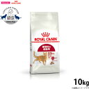【店内ポイント最大40倍!本日限定!】ロイヤルカナン 猫 キャットフード フィット 10kg 正規品 猫用品/ねこグッズ/ペットグッズ/ペット用品 送料無料