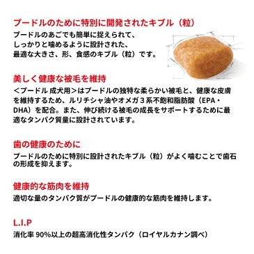 ロイヤルカナン 犬 ドッグフード プードル 成犬用 800g 正規品 犬用品/ペットグッズ/ペット用品 [3182550788144] 楽天BOX受取対象商品 [RC-AD]