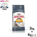 【店内ポイント最大40倍!本日限定!】ロイヤルカナン 猫 キャットフード ヘアー&スキン ケア 2kg×6個 正規品 猫用品/ねこグッズ/ペットグッズ/ペット用...