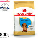 ロイヤルカナン 犬 ドッグフード ダックスフンド 子犬用 800g 正規品 犬用品/ペットグッズ/ペット用品 