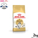 【店内ポイント最大40倍!本日限定!】ロイヤルカナン キャットフード ノルウェージャン フォレストキャット 成猫用 2kg 正規品 猫用品/ねこグッズ/ペットグ...
