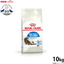 【店内ポイント最大40倍!本日限定!】ロイヤルカナン 猫 キャットフード インドア ロングヘアー 10kg 正規品 猫用品/ねこグッズ/ペットグッズ/ペット用品...