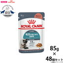 【店内ポイント最大40倍!本日限定!】ロイヤルカナン 猫 キャットフード ウェットフード ヘアボールケア 85g×48個 正規品 猫用品/ねこグッズ/ペットグッ...
