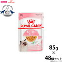 【店内ポイント最大40倍!本日限定!】ロイヤルカナン キャットフード ウェットフード キトン ゼリー 85g×48個 送料無料 正規品 子猫 こねこ 総合栄養食...