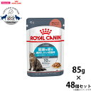 【店内ポイント最大38倍！本日限定！】ロイヤルカナン 猫 キャットフード ウェットフード ユリナリーケア 85g×48パウチセット 正規品 猫用品/ペットグッズ/用品 送料無料