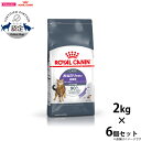 【店内ポイント最大40倍!本日限定!】ロイヤルカナン アペタイトコントロール 2kg×6個 おねだりの多い猫用 成猫用 キャットフード フィーライン ケア ニュ...