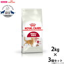 【店内ポイント最大40倍!本日限定!】ロイヤルカナン 猫 キャットフード フィット 2kg×3個 正規品 猫用品/ねこグッズ/ペットグッズ/ペット用品