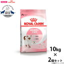 【店内ポイント最大40倍!本日限定!】ロイヤルカナン 猫 キャットフード キトン 10kg×2個 正規品 猫用品/ねこグッズ/ペットグッズ/ペット用品