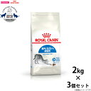 【店内ポイント最大40倍!本日限定!】ロイヤルカナン 猫 キャットフード インドア 2kg×3個 正規品 猫用品/ねこグッズ/ペット ペットグッズ/ペット用品