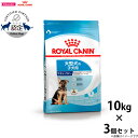 【店内ポイント最大45倍!本日限定!】ロイヤルカナン 犬 ドッグフード マキシ パピー 10kg×3個 正規品 犬用品/ペットグッズ/ペット用品