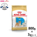 【店内ポイント最大45倍!本日限定!】ロイヤルカナン 犬 ドッグフード 柴犬 子犬用 800g×3個 正規品 犬用品/ペットグッズ/ペット用品