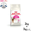 【店内ポイント最大40倍!本日限定!】ロイヤルカナン 猫 キャットフード アロマエクシジェント 2kg×3個 正規品 猫用品/ねこグッズ/ペットグッズ/ペット用...