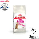 【店内ポイント最大40倍!本日限定!】ロイヤルカナン 猫 キャットフード プロテインエクシジェント(旧 コウタンパク) 2kg×3個 正規品 猫用品/ねこグッズ...