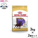 【店内ポイント最大45倍!本日限定!】ロイヤルカナン 犬 ドッグフード ラブラドールレトリバー ステアライズド成犬用 3kg×2個 正規品 犬用品/ペットグッズ/ペット用品