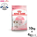 【店内ポイント最大46倍!本日限定!】ロイヤルカナン 猫 キャットフード キトン 10kg×4個 正規品 猫用品/ねこグッズ/ペットグッズ/ペット用品