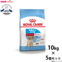 【店内ポイント最大45倍!本日限定!】ロイヤルカナン 犬 ドッグフード ミディアム パピー 10kg×5個 正規品 犬用品/ペットグッズ/ペット用品