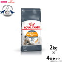 【店内ポイント最大40倍!本日限定!】ロイヤルカナン 猫 キャットフード ヘアー&スキン ケア 2kg×4個 正規品 猫用品/ねこグッズ/ペットグッズ/ペット用...