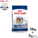 【店内ポイント最大46倍!本日限定!】ロイヤルカナン 犬 ドッグフード マキシ アダルト 10kg×5個 正規品 犬用品/ペットグッズ/ペット用品