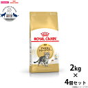 【店内ポイント最大40倍!本日限定!】ロイヤルカナン キャットフード アメリカンショートヘアー 成猫用 2kg×4個 正規品 猫用品/ねこグッズ/ペットグッズ/...