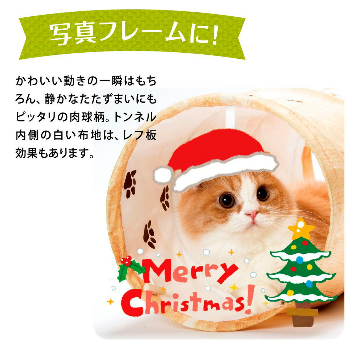 �ں���2000��OFF�����ݥ󡪡�Ź��ݥ���Ⱥ���58�ܡ��ޥ饽����ꡪ��ǭ�� ����åȥȥ�ͥ� ������ ǭ �ޤꤿ���߼� ������ ����ѥ���