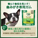 【400円OFFクーポン！＆店内ポイント最大40倍！本日限定！】グリニーズプラス エイジングケア 超小型犬用 体重2-7kg 60本入 歯磨きガム デンタルケア 大容量 ボックスタイプ 犬