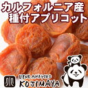 カルフォルニア産 種有りあんず(アプリコット) 《1kg》種...