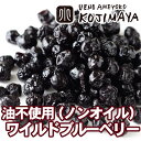 ノンオイル ワイルドブルーベリー(野生種) 《200g》油不...