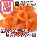 【宅急便送料無料】カルフォルニア産 EXファンシーあんず(ア...