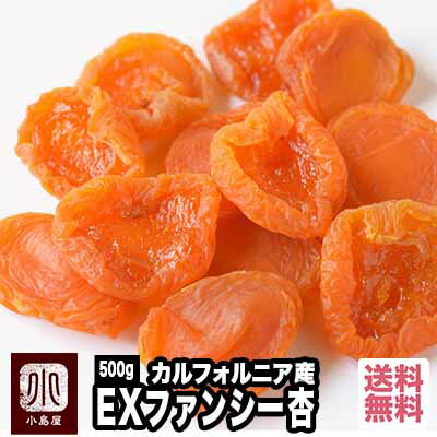 【送料無料】長野県千曲市産 干し杏 はねだし 120g 2袋入り あんず 杏 干しあんず 国産 ドライフルーツ 産直市場ヤマサン