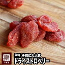 いちご の郷の 苺 使用 ドライいちご 300gいちご の甘くておいしい香りがたまらない 子供 に大人気のドライフルーツ ドライ イチゴ ドライフルーツ いちご...