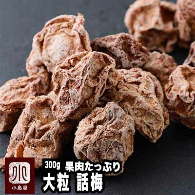 甘酸っぱい 大粒・話梅 《300g》大粒