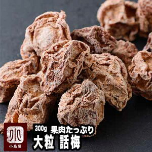 甘酸っぱい 大粒・話梅 《300g》大粒なので、口の中でゆっくり転がして味わって下さい　甘みの後に、ゆっくりしょっぱさがやってきます^^ 番茶・ほうじ茶との相性抜群です。 干し梅 種有り 種あり