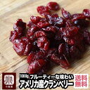 ラトビア産 クランベリー 500g(250g×2) 保存料不使用 ドライフルーツ 送料無料 保存に便利なチャック付き [ 甘酸っぱい フルーツ cranberry お試しサイズ 自然の館 保存食 非常食 訳あり