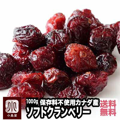 クランベリー アメ横 大津屋 業務用 ドライ ナッツ ドライフルーツ 製菓材料 cranberry くらんべりー