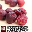 ＜ノンオイル ＆ 保存料不使用＞ ラトビア産クランベリー《100g》 1