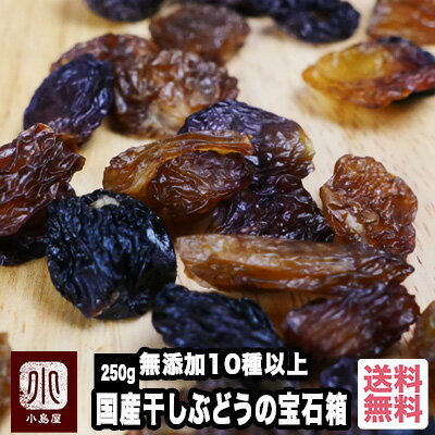 国産 干しぶどう の宝石箱 250g 無添加 ノンオイル 砂糖不使用 10種類以上の葡萄を楽しめる ぶどう農家 田中ぶどう園…