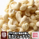 ナッツ 専門店 生カシューナッツ インド産 1kg 無添加大粒でナッツの旨みが濃い上質なカシューナッツナッツ専門店の新鮮な カシューナッツ をお届けします無塩 ...