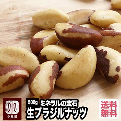 待望入荷 無添加　ブラジルナッツ　500g　ブラジル産　スーパーフード　brazilnuts　栄養満点 ブラジルナッツ1粒で健康や美容、ダイエットに　お料理にも幅広く活用できます 宅急便送料無料