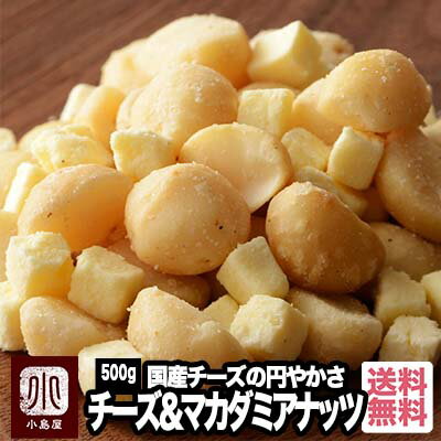 ナッツ専門店のマカダミアナッツ＆チーズ 《500g》国産チーズが円やかな味わいなんです専門店がオリジナル製造した本気のマカダミアおつまみをお楽しみ下さい マカデミアナッツ ドライチーズ 宅急便送料無料