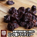 お試し小袋商品砂糖不使用　アメリカ産：ドライチェリー（ビングチェリー） 《30g》砂糖不使用でも、甘みがちゃんと残るのがビング種の特徴。フルーツ本来の甘みと酸味を楽しめます♪ ドライフルーツ ドライさくらんぼ　フルーツ