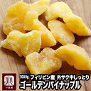 ドライパイン 100g ドライフルーツ 母の日 ギフト プレゼント 手土産 手土産 お菓子 プレゼント フルーツティー 送料無料 ジュース 紅茶 プチギフト 非常食 保存食 キャンプ飯 行動食